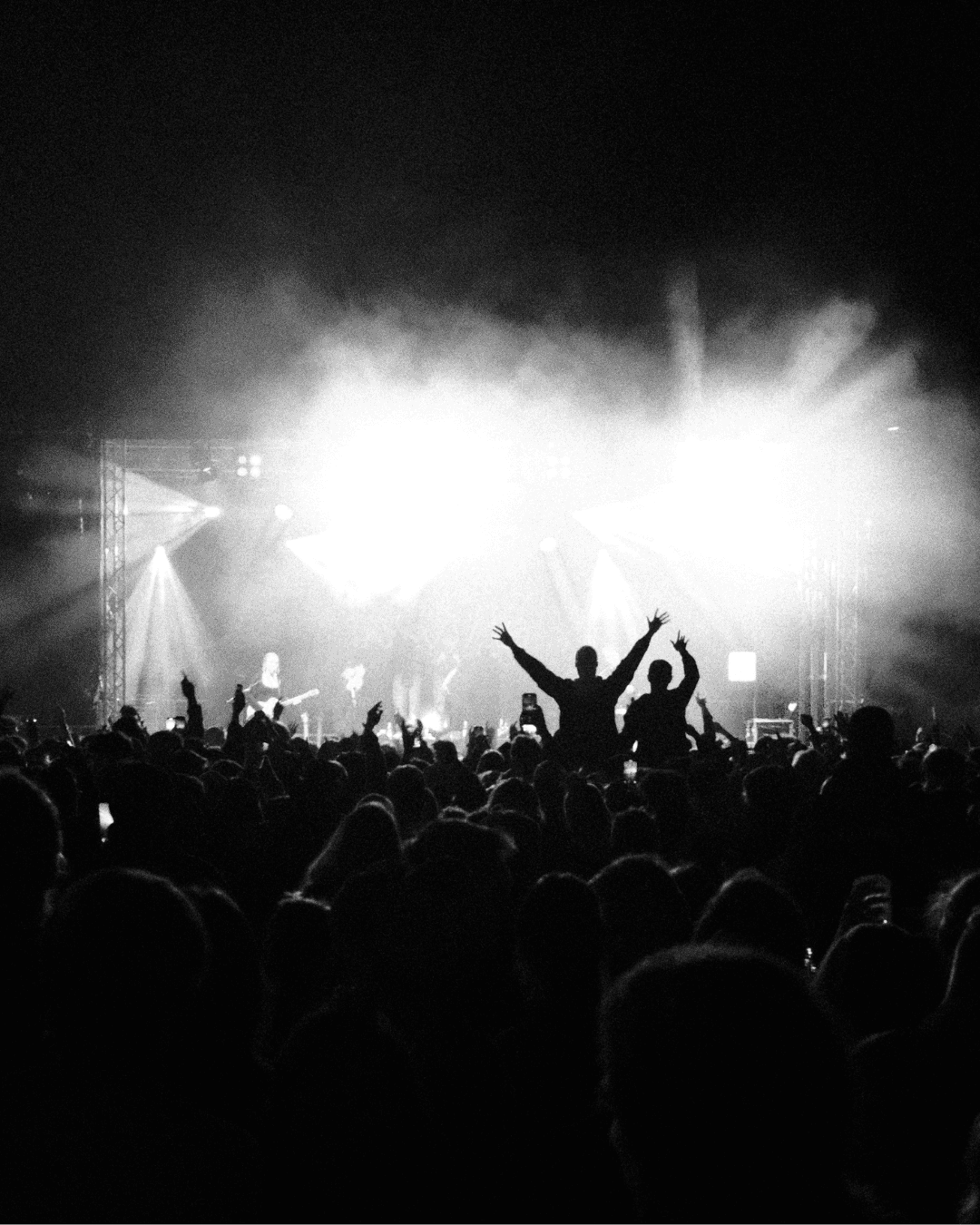 Live Music & Festival